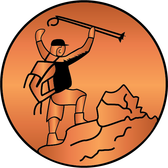 bronze medal