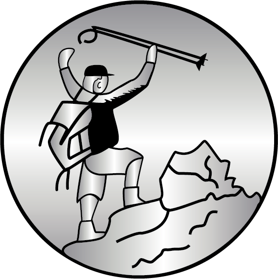 silver medal